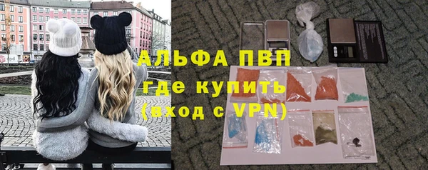 прущие грибы Киреевск