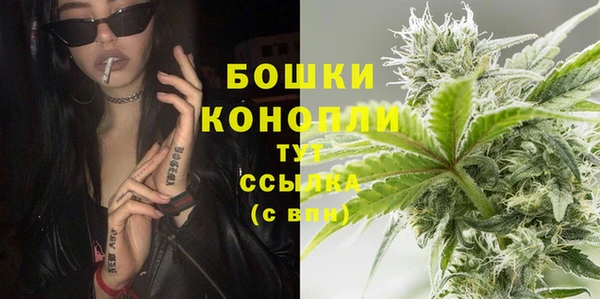 ГАЛЛЮЦИНОГЕННЫЕ ГРИБЫ Карпинск