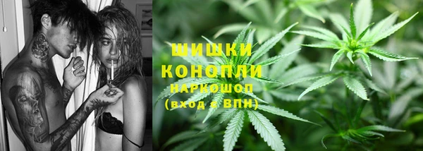 прущие грибы Киреевск