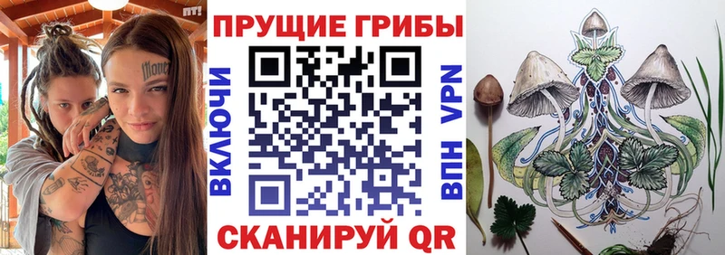 цена наркотик Константиновск Псилоцибиновые грибы мухоморы